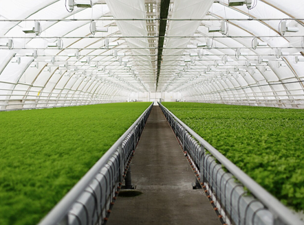 A modern greenhouse.