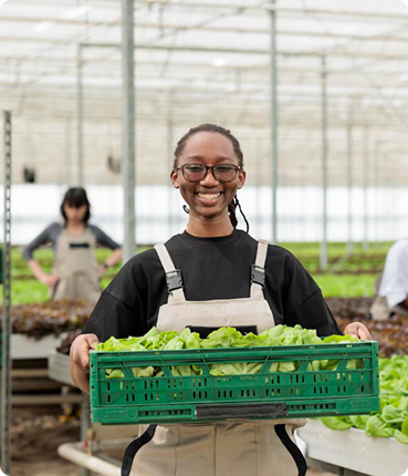 A worker at ifarms Rwanda holding a crate of fresh produce.