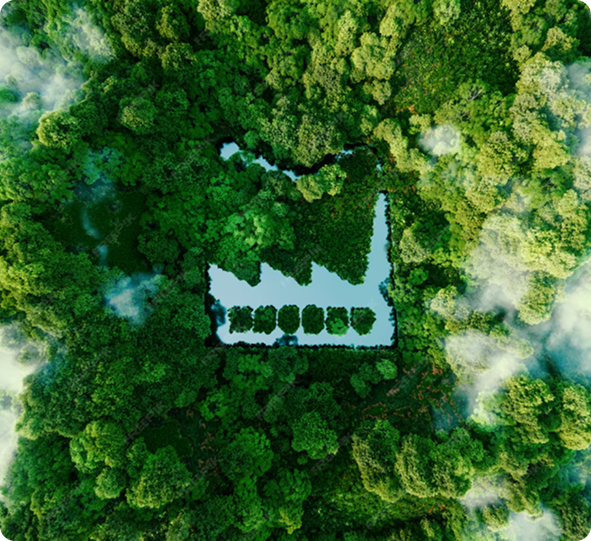 Biomass processing facility