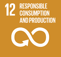 SDG 12: Responsible Consumption and Production